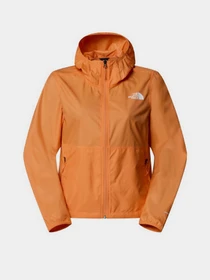 Куртки и дубленки The North Face Cyclone Wind модель NF0A8B6G0TO1 Фото