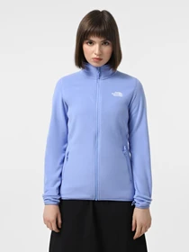 Худи и свитшоты The North Face 100 Glacier Full-Zip Fleece модель NF0A855O0YI1 Фото
