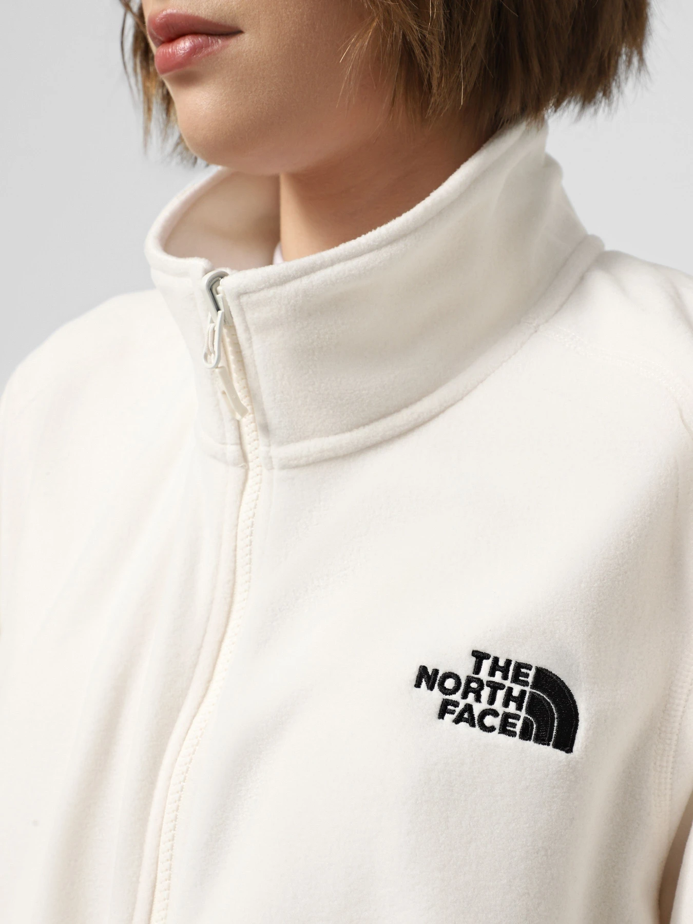 Худи и свитшоты The North Face 100 Glacier Full Zip модель NF0A856VQLI1 Худи и свитшоты The North Face 100 Glacier Full Zip модель NF0A856VQLI1 Фото