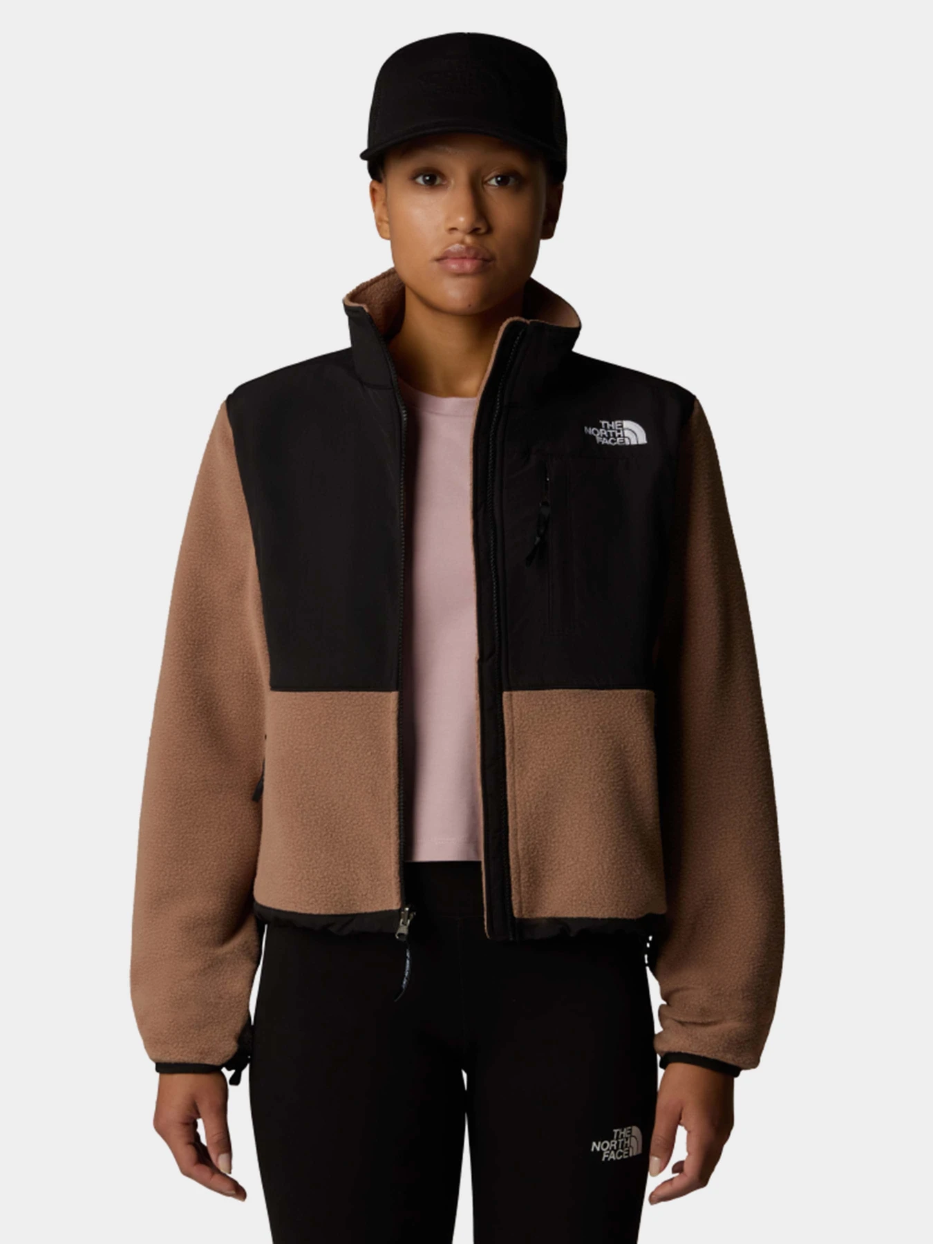 Худи и свитшоты The North Face Retro Denali модель NF0A88YR58W1 Фото