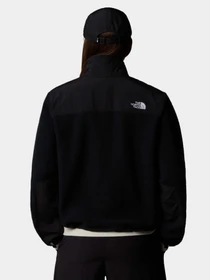Худи и свитшоты The North Face Retro Denali модель NF0A88YRJK31 Фото
