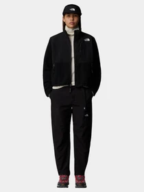 Худи и свитшоты The North Face Retro Denali модель NF0A88YRJK31 Фото