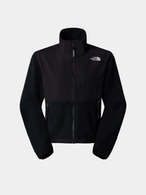 Худи и свитшоты The North Face Retro Denali модель NF0A88YRJK31 Фото