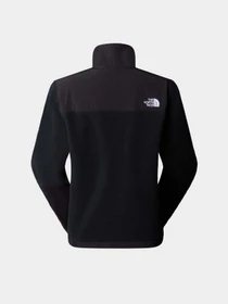 Худи и свитшоты The North Face Retro Denali модель NF0A88YRJK31 Фото