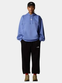Худи и свитшоты The North Face Essential модель NF0A89EN0YI1 Фото