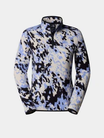 Худи и свитшоты The North Face 100 Glacier Printed Fleece модель NF0A859165U1 Фото