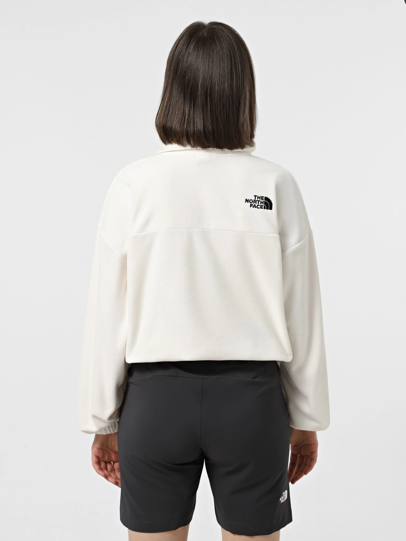 Худи и свитшоты The North Face 100 Glacier 1/2 Zip Fleece модель NF0A89J9QLI1 Фото
