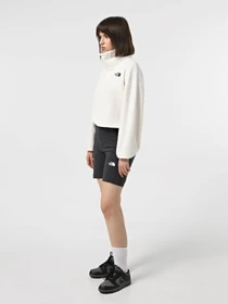 Худи и свитшоты The North Face 100 Glacier 1/2 Zip Fleece модель NF0A89J9QLI1 Фото