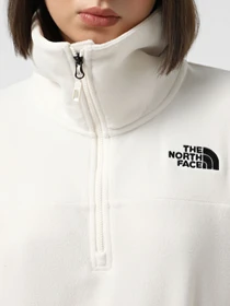 Худи и свитшоты The North Face 100 Glacier 1/2 Zip Fleece модель NF0A89J9QLI1 Фото