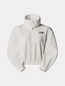Худи и свитшоты The North Face 100 Glacier 1/2 Zip Fleece модель NF0A89J9QLI1 Фото