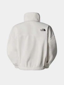 Худи и свитшоты The North Face 100 Glacier 1/2 Zip Fleece модель NF0A89J9QLI1 Фото