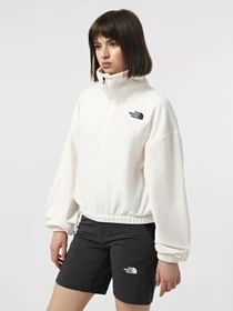 Худи и свитшоты The North Face 100 Glacier 1/2 Zip Fleece модель NF0A89J9QLI1 Фото