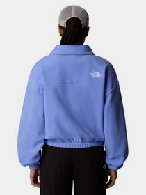 Худи и свитшоты The North Face 100 Glacier 1/2 Zip Fleece модель NF0A89J90YI1 Фото