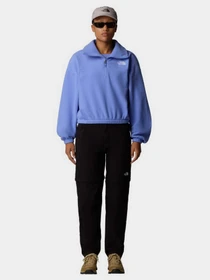 Худи и свитшоты The North Face 100 Glacier 1/2 Zip Fleece модель NF0A89J90YI1 Фото