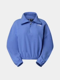 Худи и свитшоты The North Face 100 Glacier 1/2 Zip Fleece модель NF0A89J90YI1 Фото