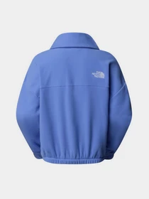 Худи и свитшоты The North Face 100 Glacier 1/2 Zip Fleece модель NF0A89J90YI1 Фото
