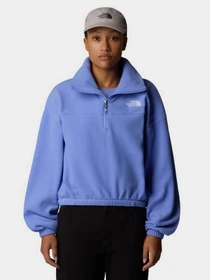 Худи и свитшоты The North Face 100 Glacier 1/2 Zip Fleece модель NF0A89J90YI1 Фото