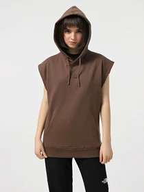 Худі та світшоти The North Face Ss Relaxed модель NF0A8BW21OI1 Фото