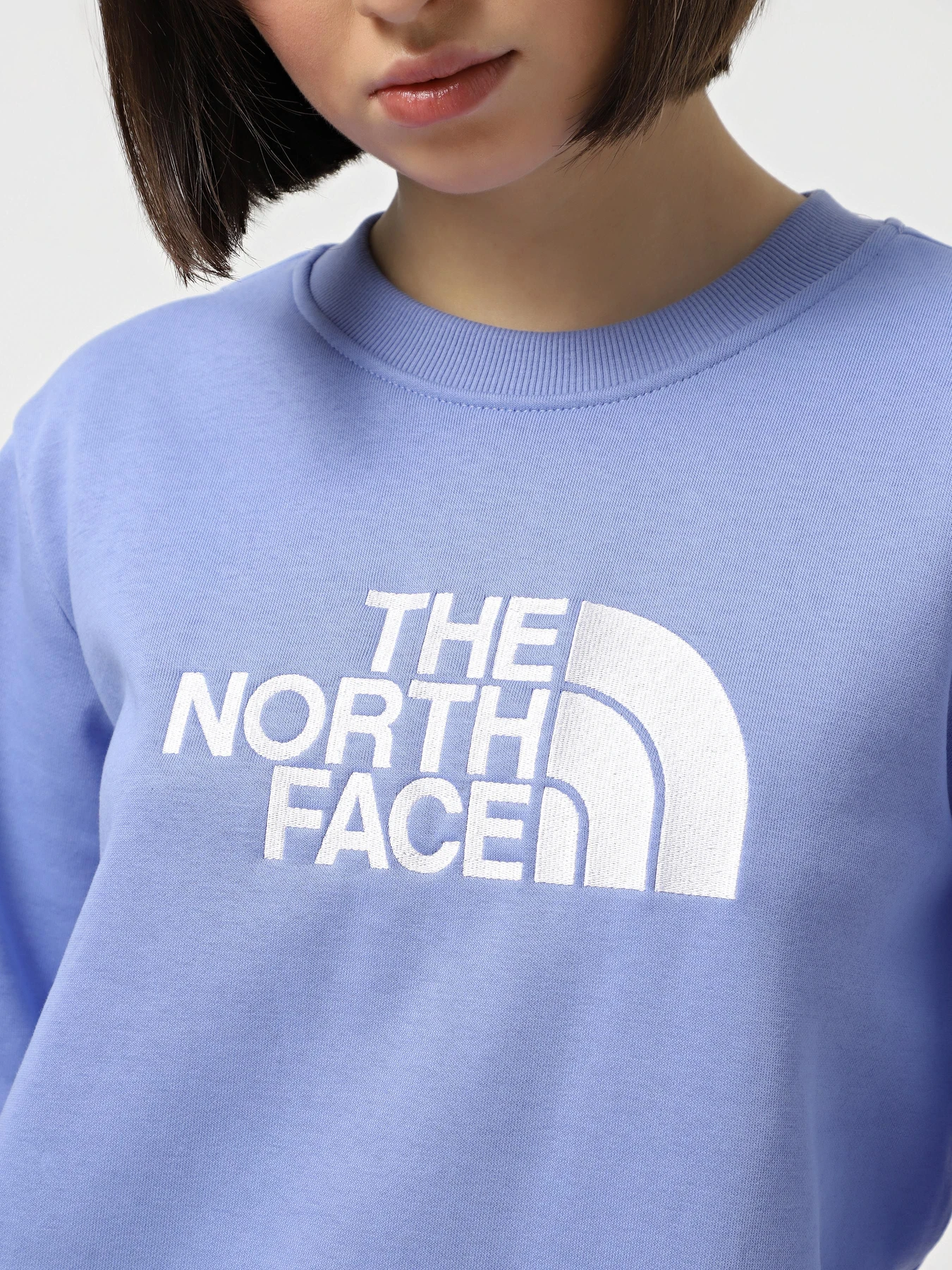 Худи и свитшоты The North Face Drew Peak Crew модель NF0A89EF7UH1 Фото