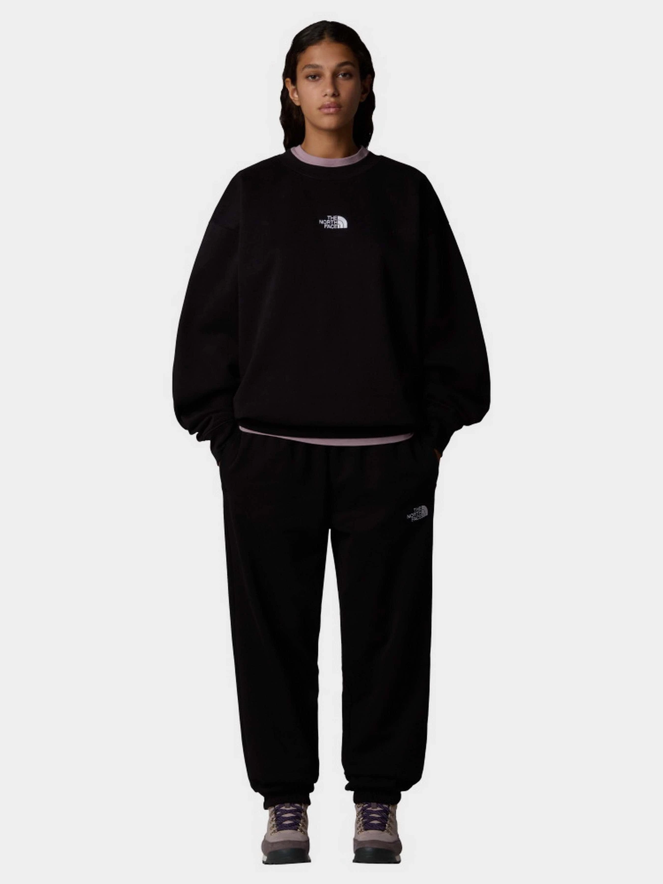 Худи и свитшоты The North Face Essential модель NF0A89EPJK31 Худи и свитшоты The North Face Essential модель NF0A89EPJK31 Фото
