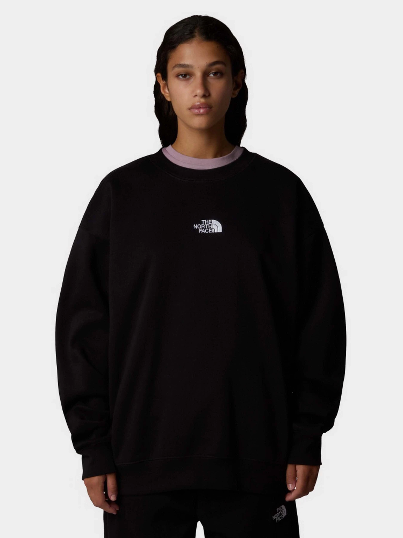 Худи и свитшоты The North Face Essential модель NF0A89EPJK31 Худи и свитшоты The North Face Essential модель NF0A89EPJK31 Фото
