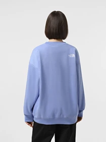 Худи и свитшоты The North Face Essential модель NF0A89EP0YI1 Фото