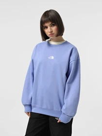 Худи и свитшоты The North Face Essential модель NF0A89EP0YI1 Фото