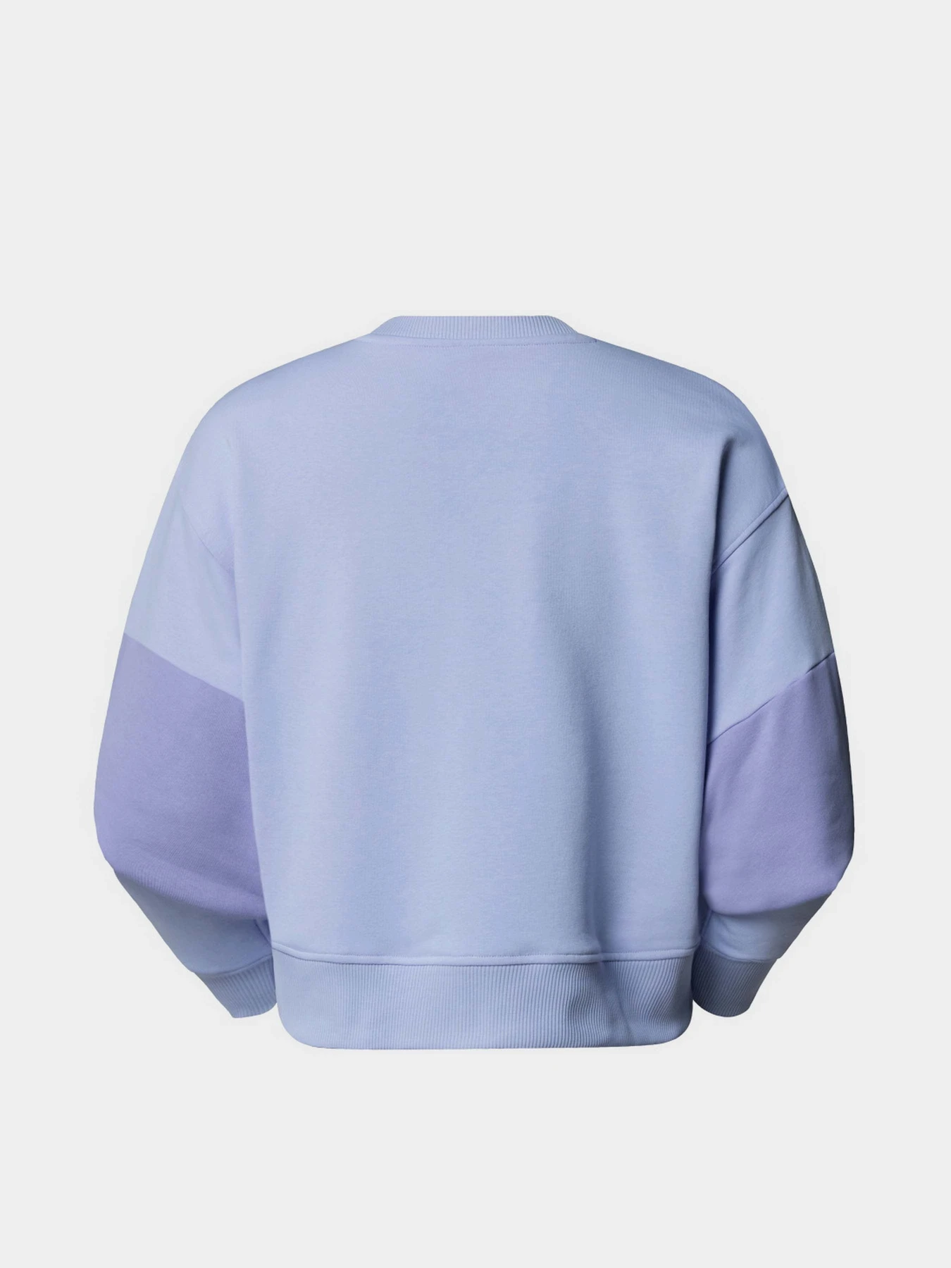 Худи и свитшоты The North Face Terry Oversized Cropped модель NF0A8C2C0VI1 Фото