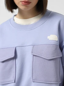 Худи и свитшоты The North Face Terry Oversized Cropped модель NF0A8C2C0VI1 Фото