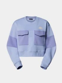 Худи и свитшоты The North Face Terry Oversized Cropped модель NF0A8C2C0VI1 Фото