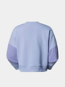 Худи и свитшоты The North Face Terry Oversized Cropped модель NF0A8C2C0VI1 Фото