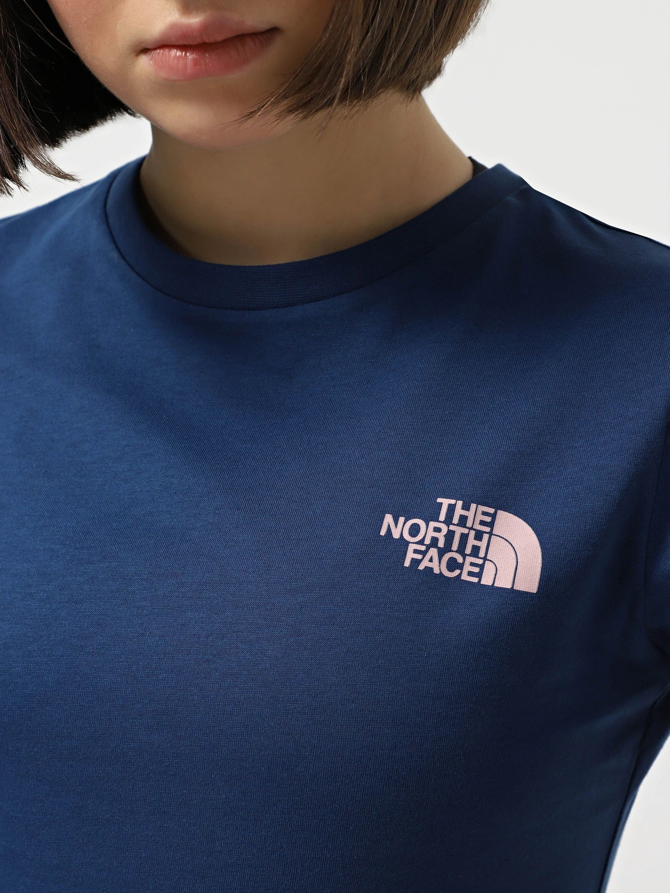 Футболки і поло The North Face S/S Box Nse Slim модель NF0A87NMB4O1 Футболки і поло The North Face S/S Box Nse Slim модель NF0A87NMB4O1 Фото