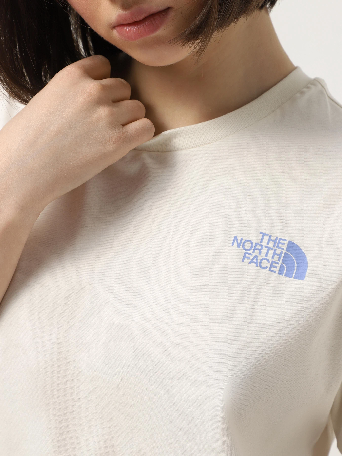 Футболки и поло The North Face S/S Box Nse Tailgrid Infill Relaxed модель NF0A8C4W9731 Фото