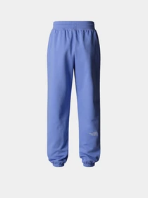 Брюки The North Face Essential Relaxed Straight модель NF0A8C1G0YI1 Фото