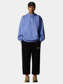 Брюки The North Face Essential Relaxed Straight модель NF0A8C1GJK31 Фото