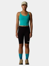 Шорты The North Face Simple Dome модель NF0A8C2HJK31 Фото