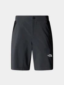 Шорты The North Face Felik Slim Tapered модель NF0A8BT4MN81 Фото