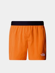 Шорты The North Face Breeze модель NF0A892N58B1 Фото
