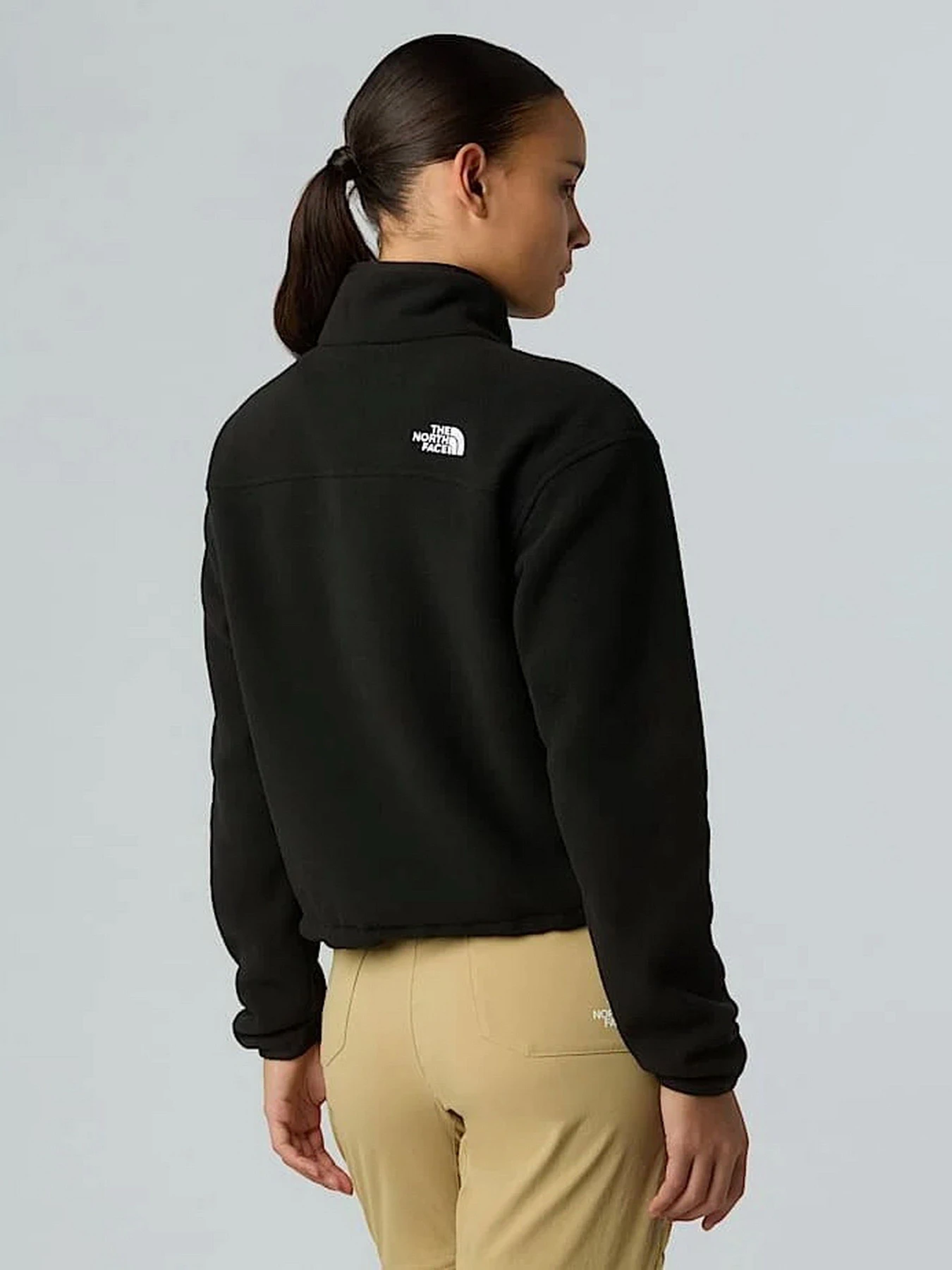 Худи и свитшоты The North Face Glacier модель NF0A8D2CJK31 Худи и свитшоты The North Face Glacier модель NF0A8D2CJK31 Фото