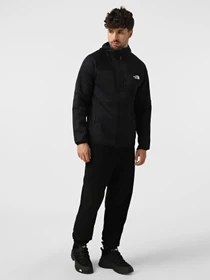 Худи и свитшоты The North Face Meteora модель NF0A8E1KJK31 Фото