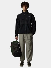 Худи и свитшоты The North Face Retro Denali модель NF0A88XHJK31 Фото