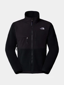 Худи и свитшоты The North Face Retro Denali модель NF0A88XHJK31 Фото