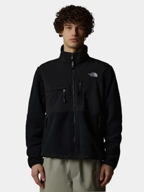 Худі та світшоти The North Face Retro Denali модель NF0A88XHJK31 Фото