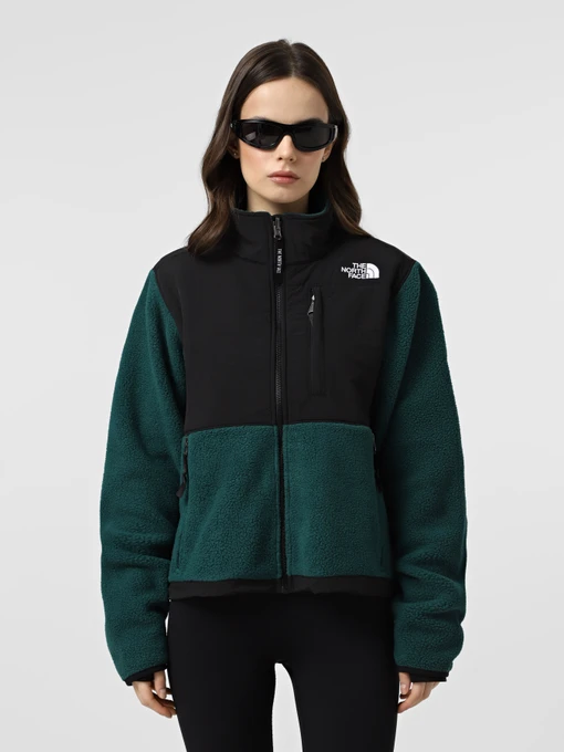 Худі та світшоти The North Face Retro Denali модель NF0A88YRDFI1 Фото