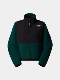 Худи и свитшоты The North Face Retro Denali модель NF0A88YRDFI1 Фото