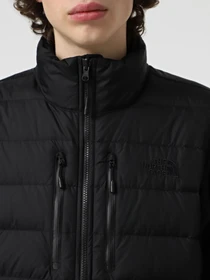 Куртки и дубленки The North Face RMST Denali модель NF0A8D0UJK31 Фото