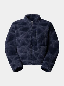Худи и свитшоты The North Face Extreme Pile модель NF0A8D5XD3O1 Фото