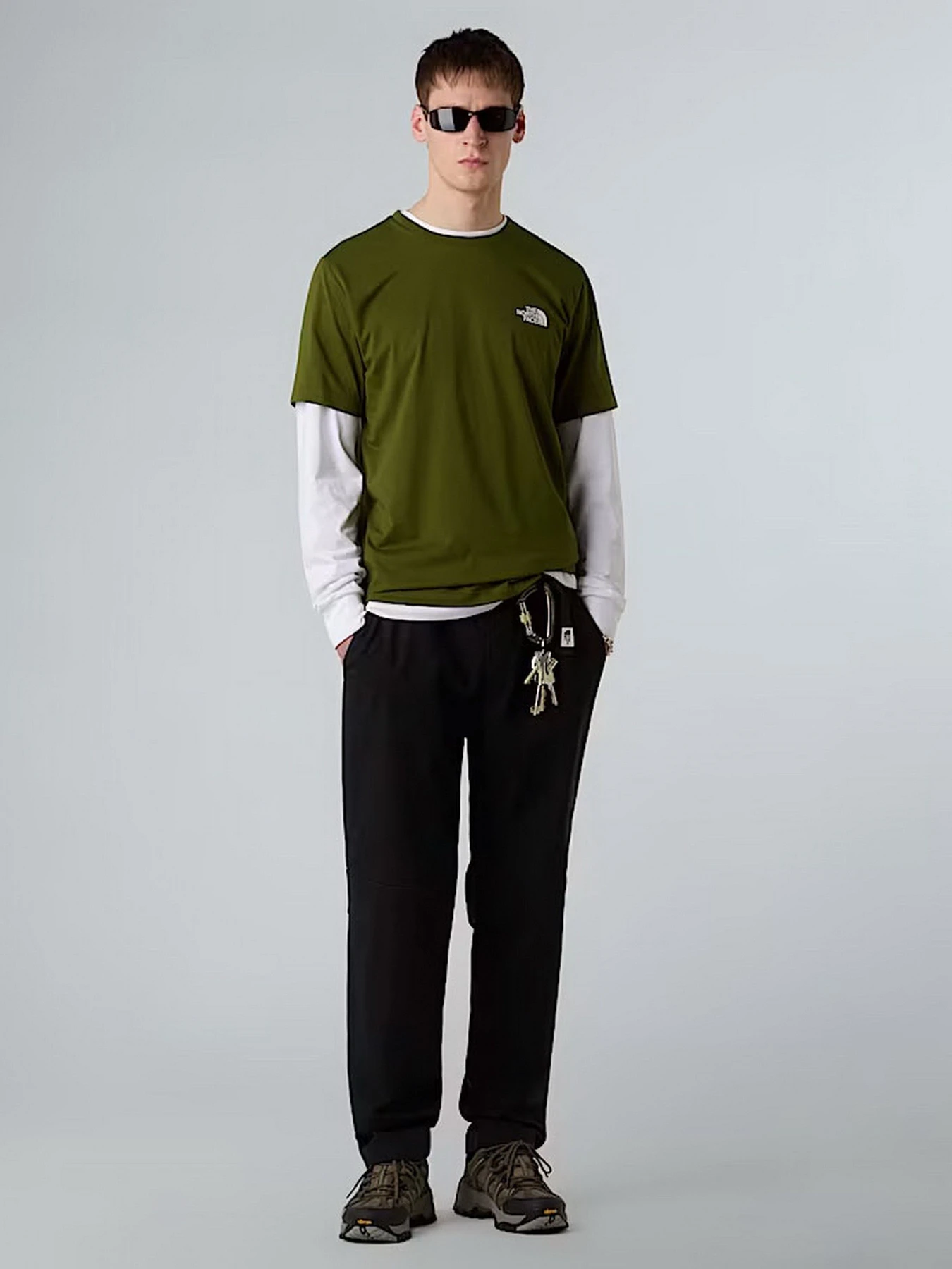 Футболки и поло The North Face Simple Dome модель NF0A87NGBRI1 Футболки и поло The North Face Simple Dome модель NF0A87NGBRI1 Фото