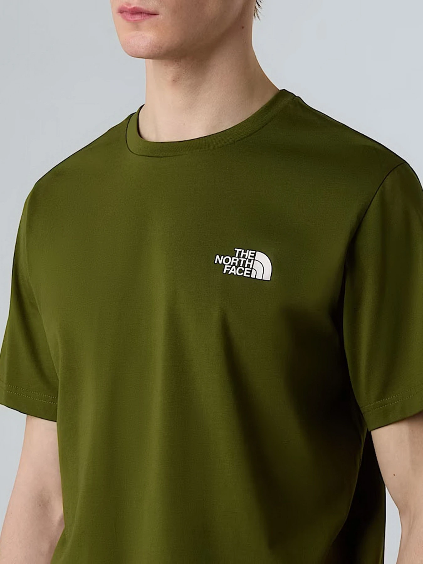 Футболки и поло The North Face Simple Dome модель NF0A87NGBRI1 Футболки и поло The North Face Simple Dome модель NF0A87NGBRI1 Фото