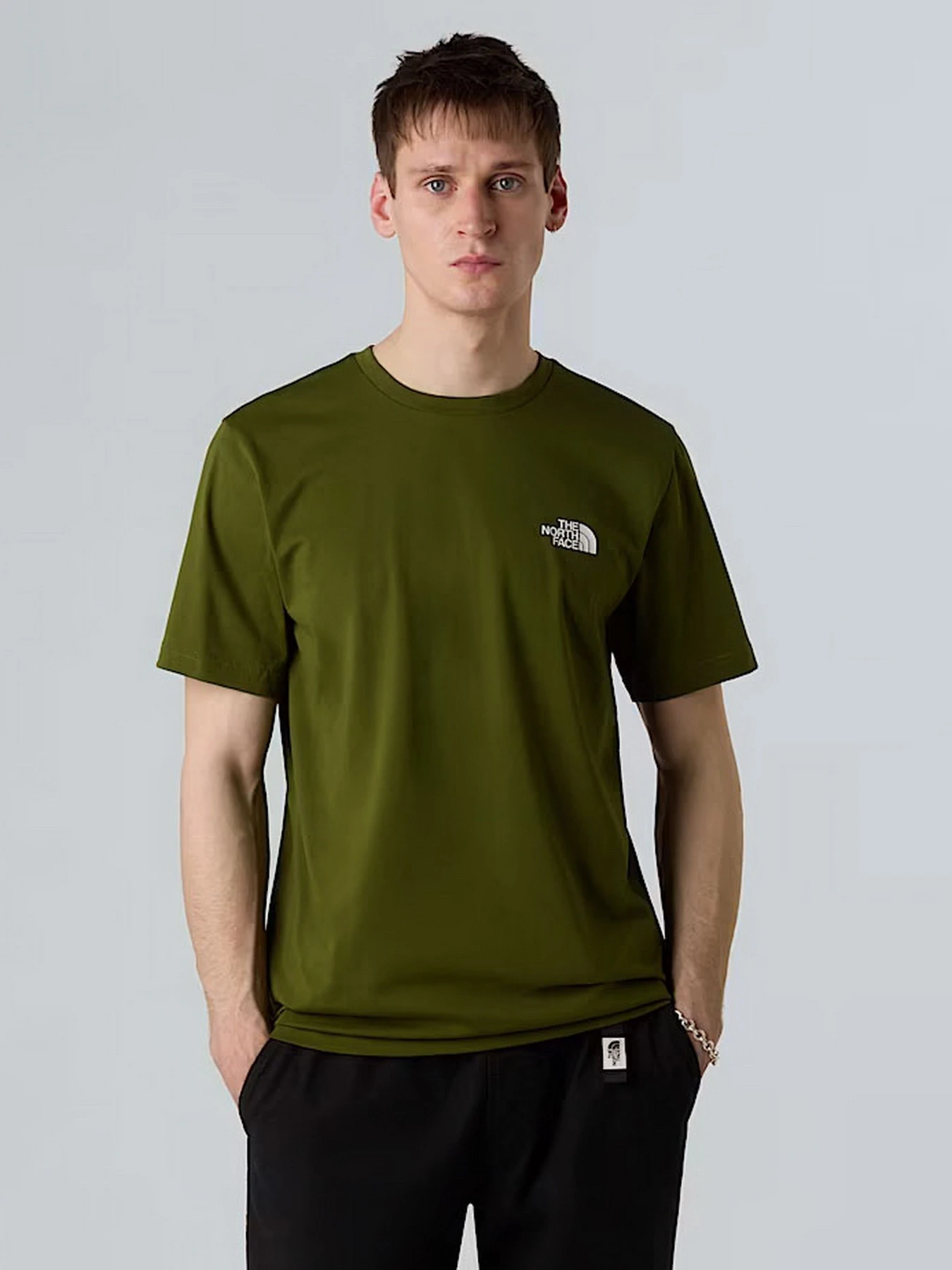 Футболки и поло The North Face Simple Dome модель NF0A87NGBRI1 Футболки и поло The North Face Simple Dome модель NF0A87NGBRI1 Фото